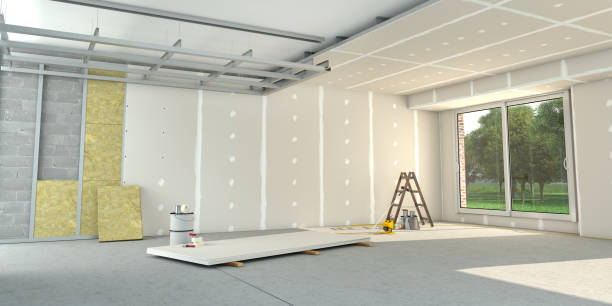 Best Cellulose Insulation in Hanover, MN