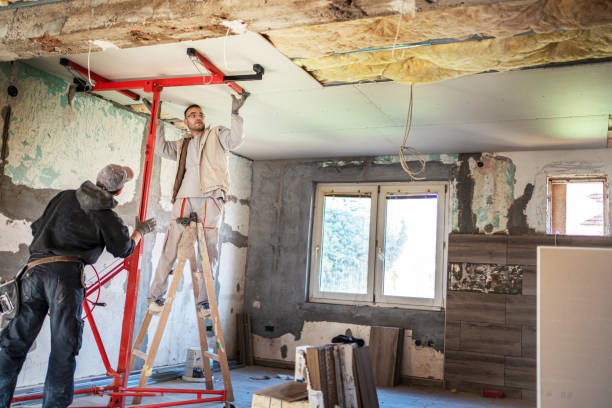 Best Geographic-Specific Insulation Services in Hanover, MN