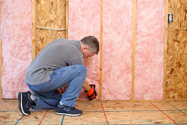 Best Spray Foam Insulation in Hanover, MN