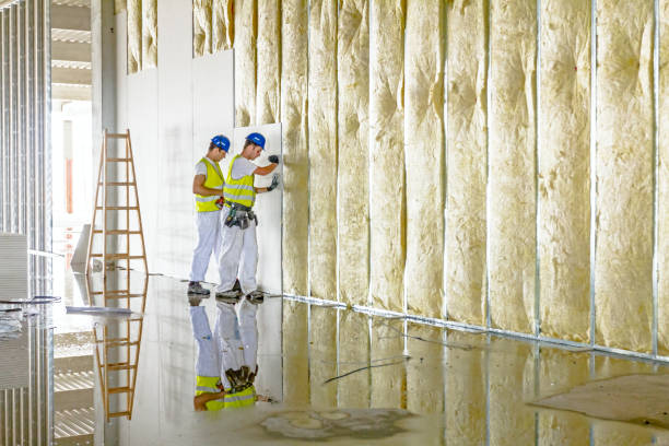 Best Insulation for Specific Applications in Hanover, MN